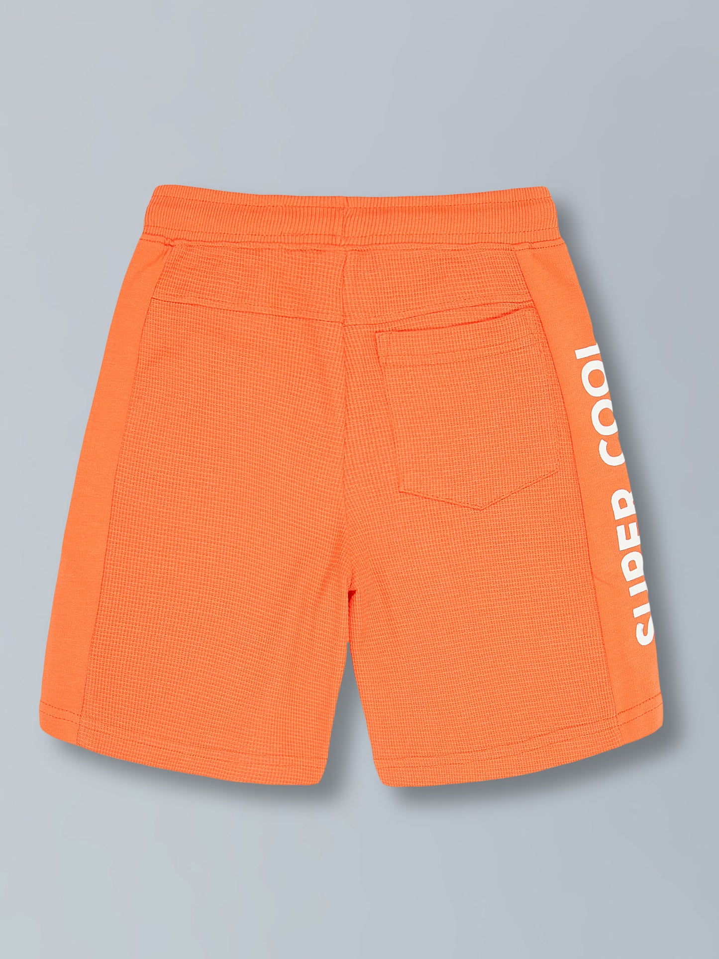 Boys Pure Cotton Textured knit Printed Shorts