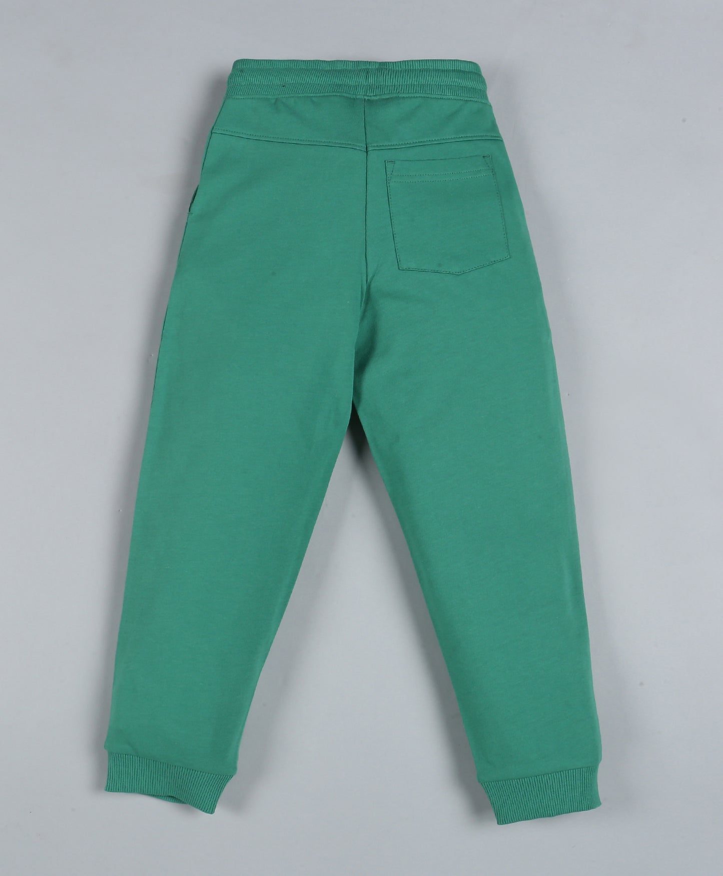 Plum Tree Boys NYC Team Print Jogger Track Pant-GREEN