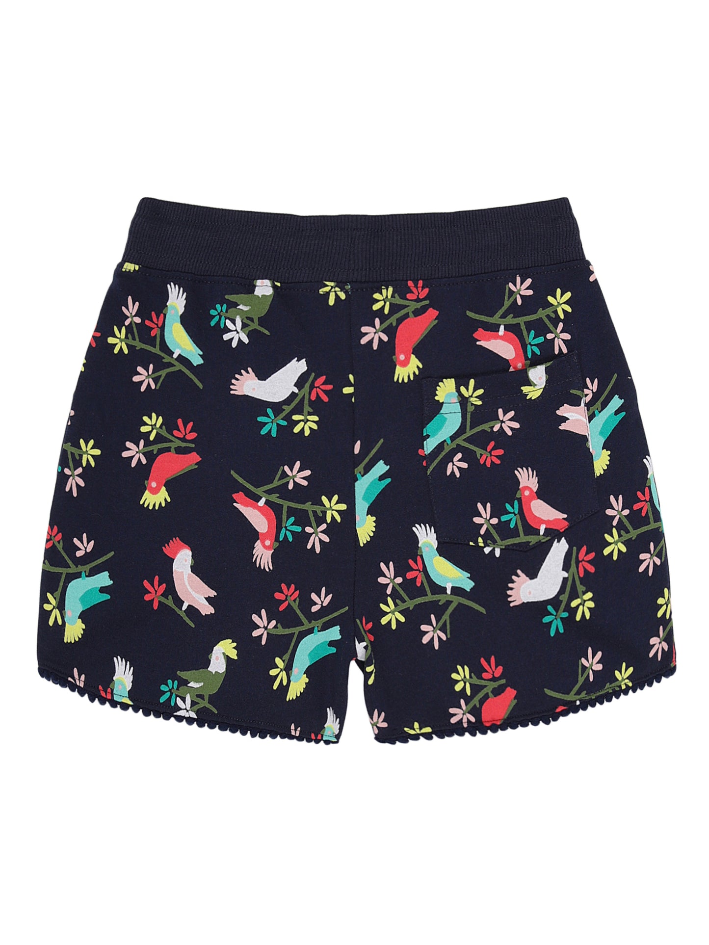 Plum Tree Girls Birds Printed Shorts-BLUE