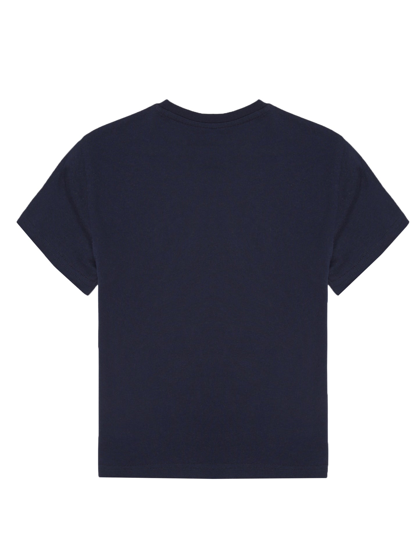 Boys set of 2 printed pure cotton T-shirts with Raised Print-NAVY BRICK NEW STANDARD