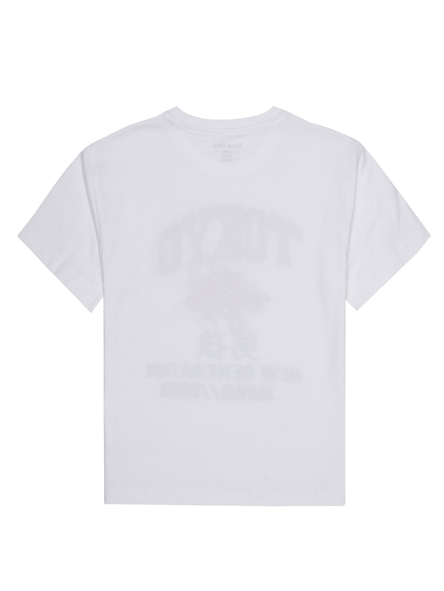 Boys set of 2 printed pure cotton T-shirts with Raised Print-OFF WHITE NAVY