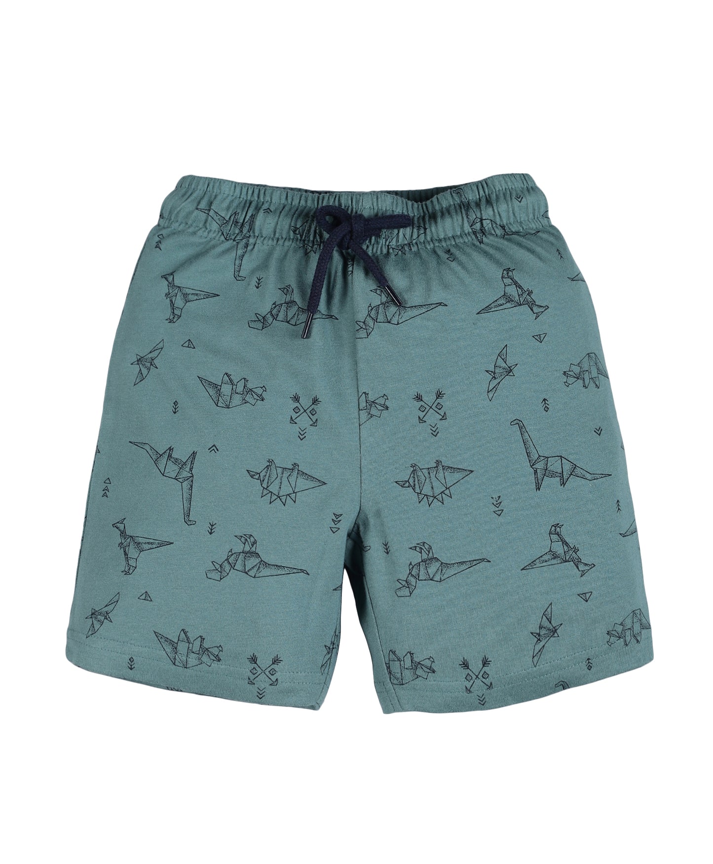 Plum Tree Boys Dinosaur Print shorts ( Pack of 2)