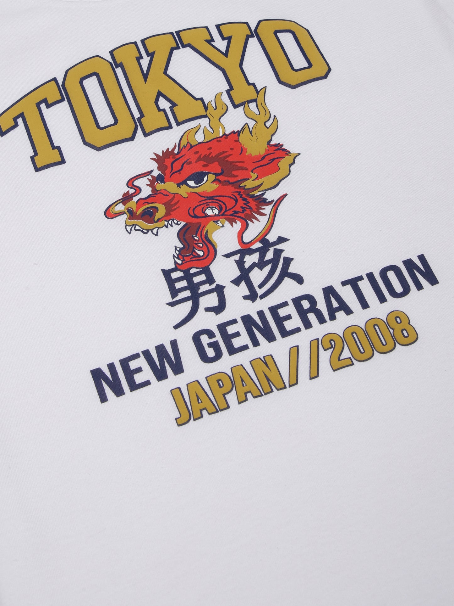 Boys set of 2 printed pure cotton T-shirts with Raised Print-OFF WHITE NAVY