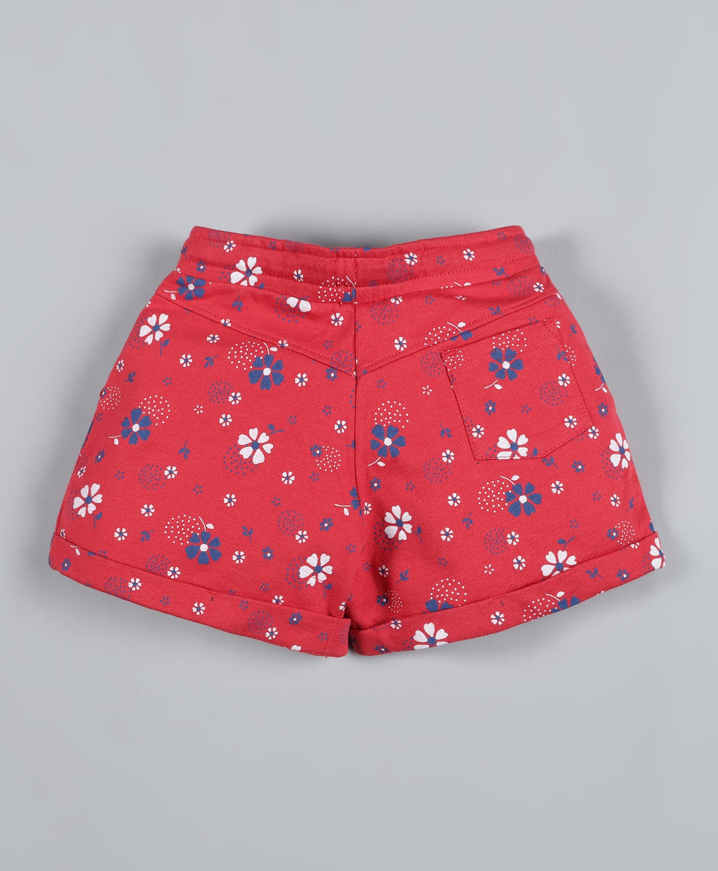 Plum Tree Girls Half Sleeve Princess Print T-shirt and Short( Pack of 2)-NAVY RED