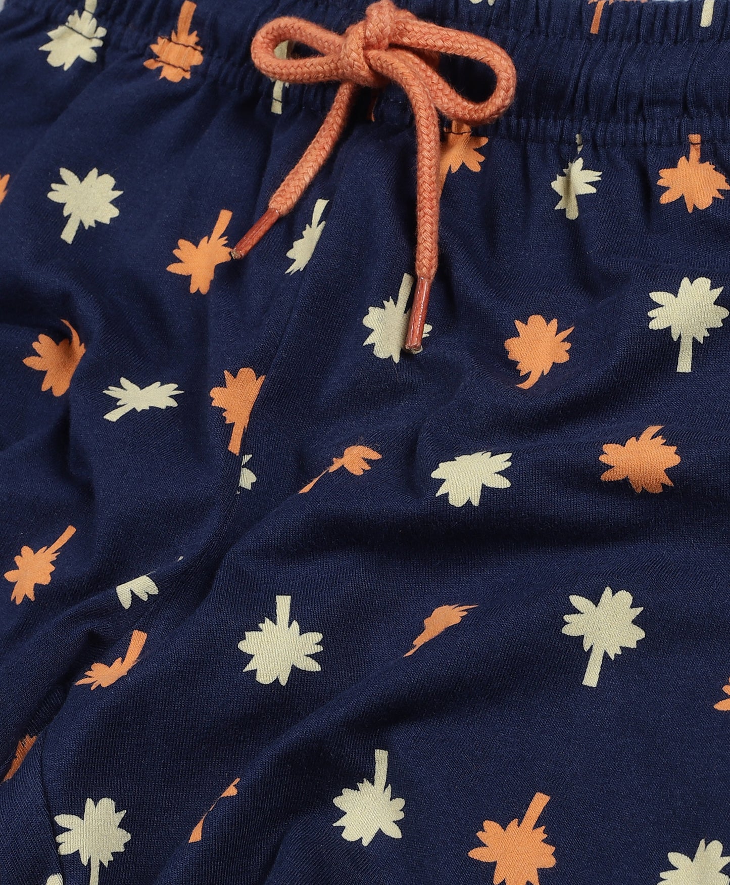 Plum Tree Boys Dinosaur Print shorts ( Pack of 2)
