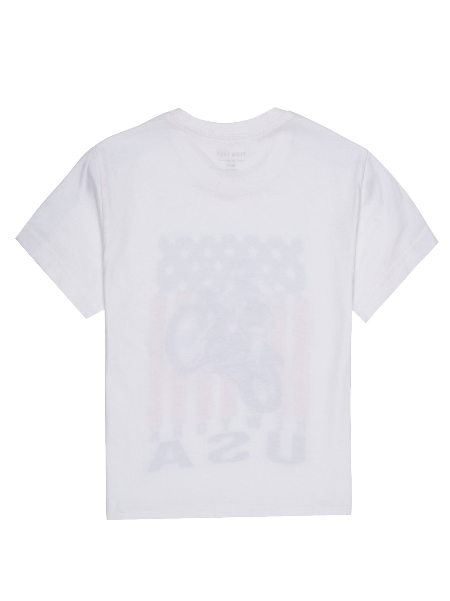 Boys set of 2 printed pure cotton T-shirts with printed tape on shoulder