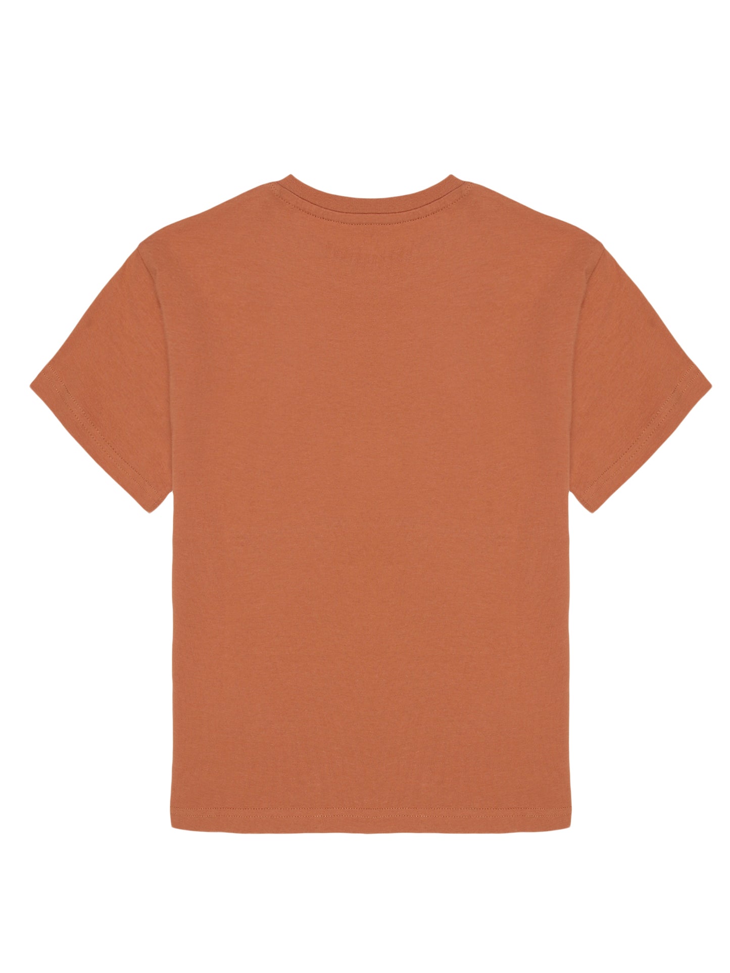 Boys set of 2 printed pure cotton T-shirts with Camoflague Print-OLIVE CAMO AOP BRICK NEW STANDARD