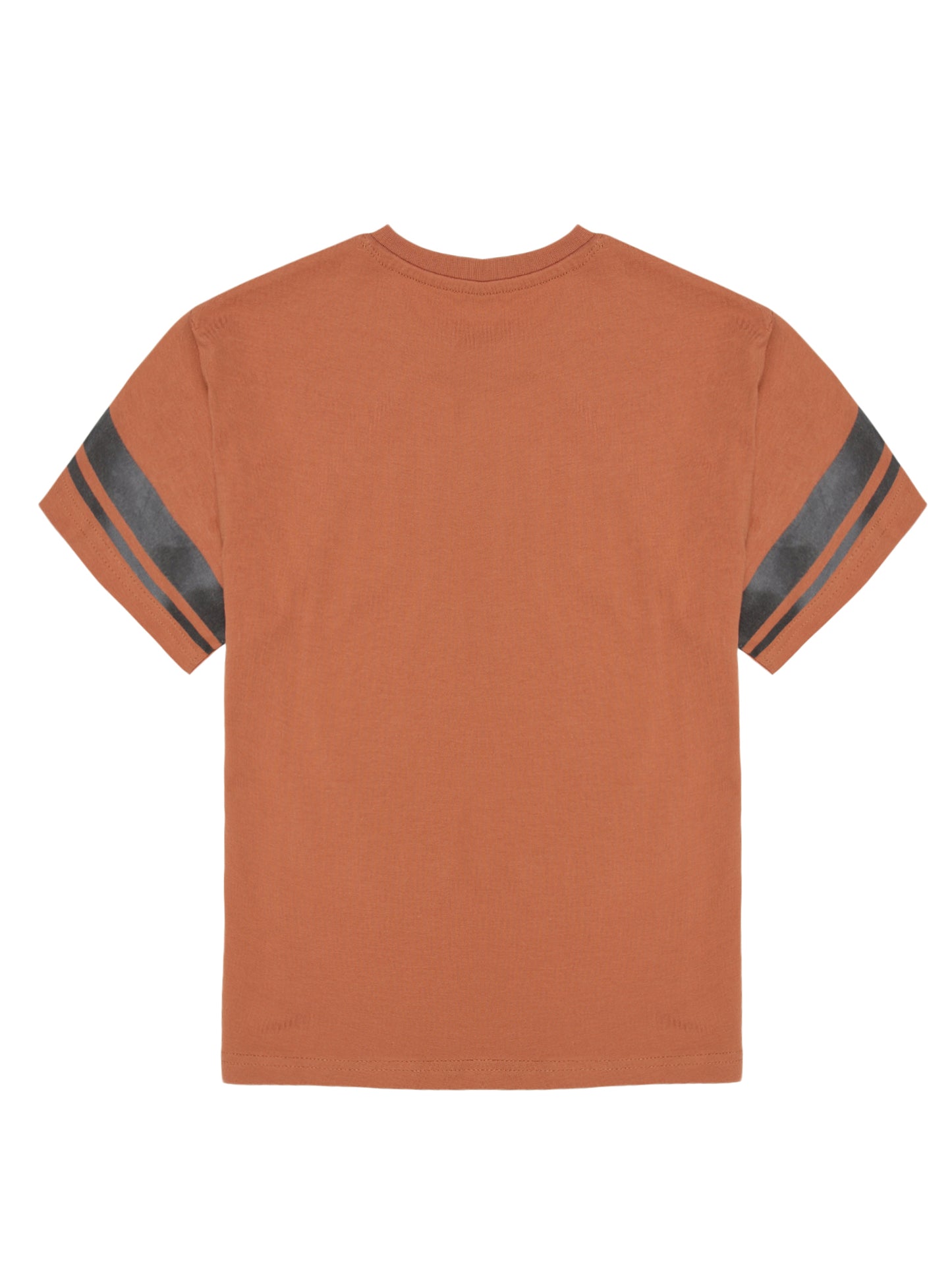 Boys set of 2 printed pure cotton T-shirts with Raised Print-NAVY BRICK NEW STANDARD