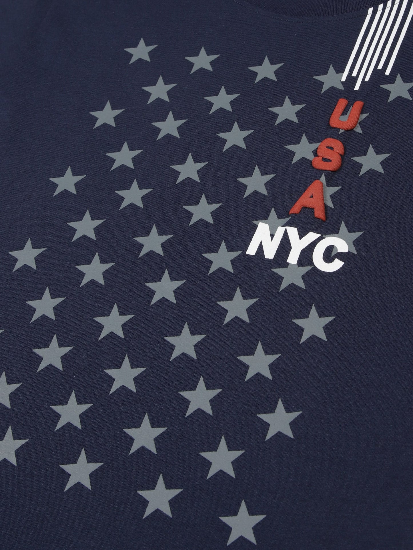 Boys set of 2 printed pure cotton T-shirts with Raised Print-OFF WHITE NAVY