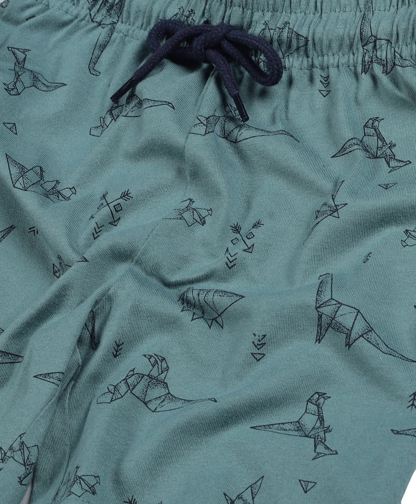 Plum Tree Boys Dinosaur Print shorts ( Pack of 2)