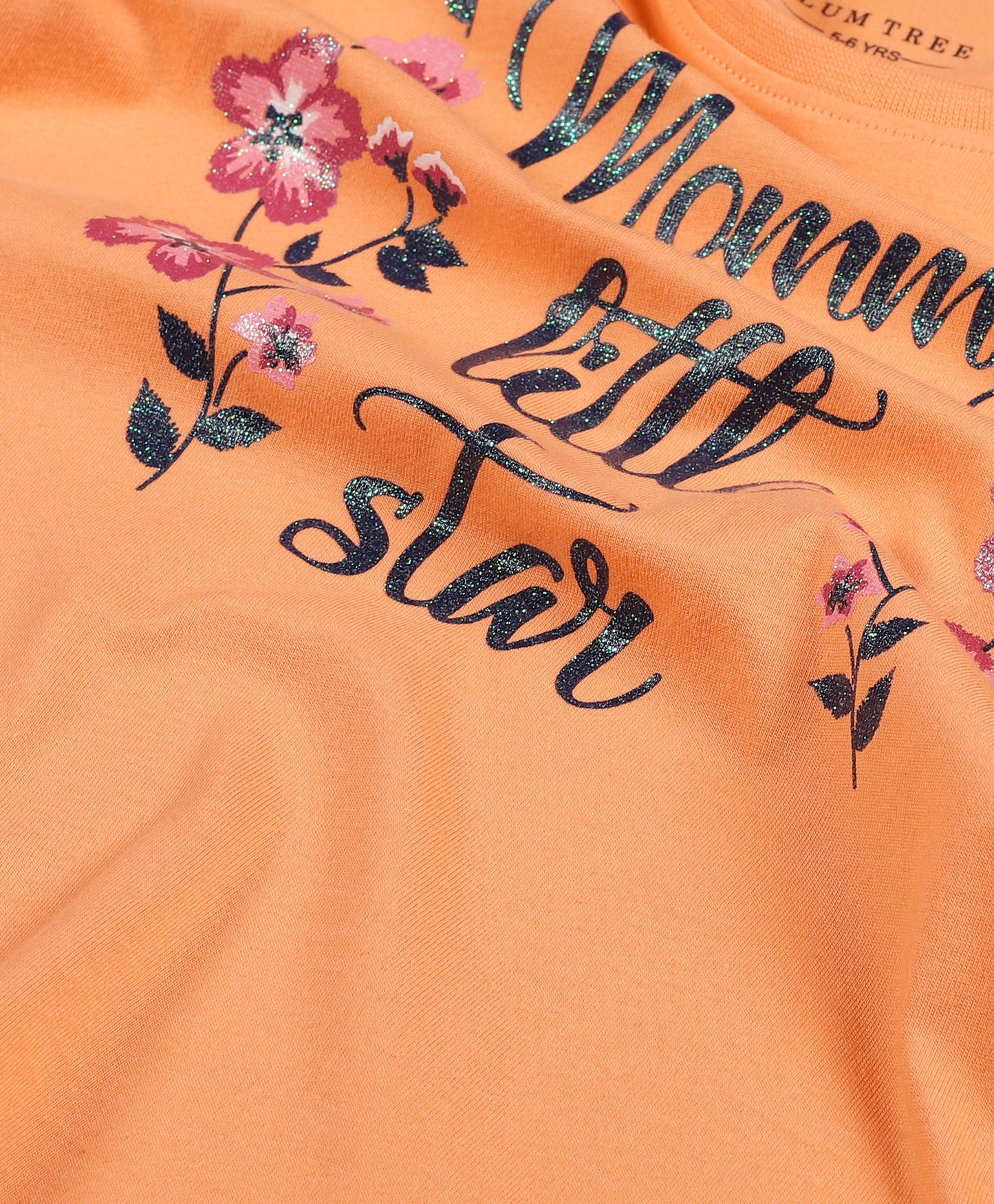 Plum Tree Girls Princess Print T-shirt ( Pack of 2)-ORANGE RED