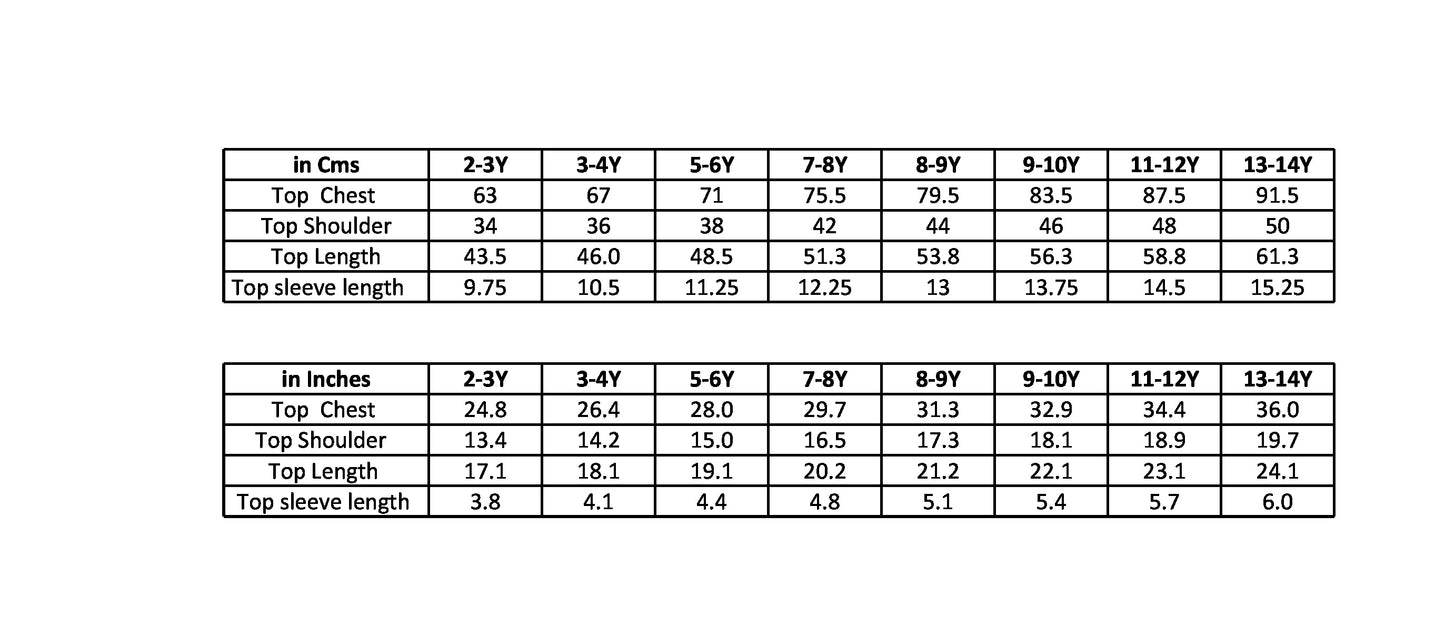 Girls Set of 2 Pure Cotton Oversized T-shirt-PINK BLUE