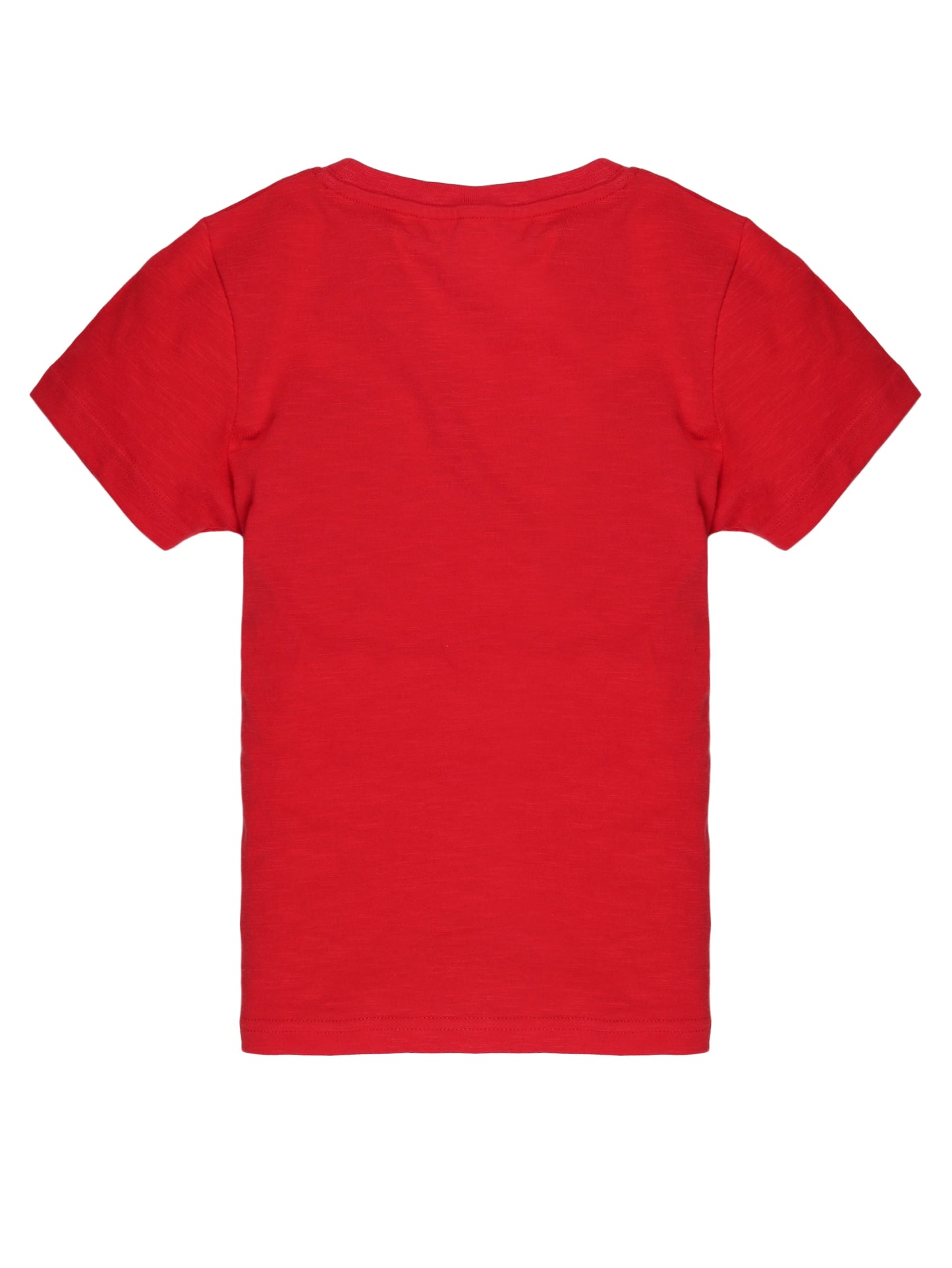 Plum Tree Boys Half Sleeve Champion Print T-shirt( Pack of 2)-RED WHITE