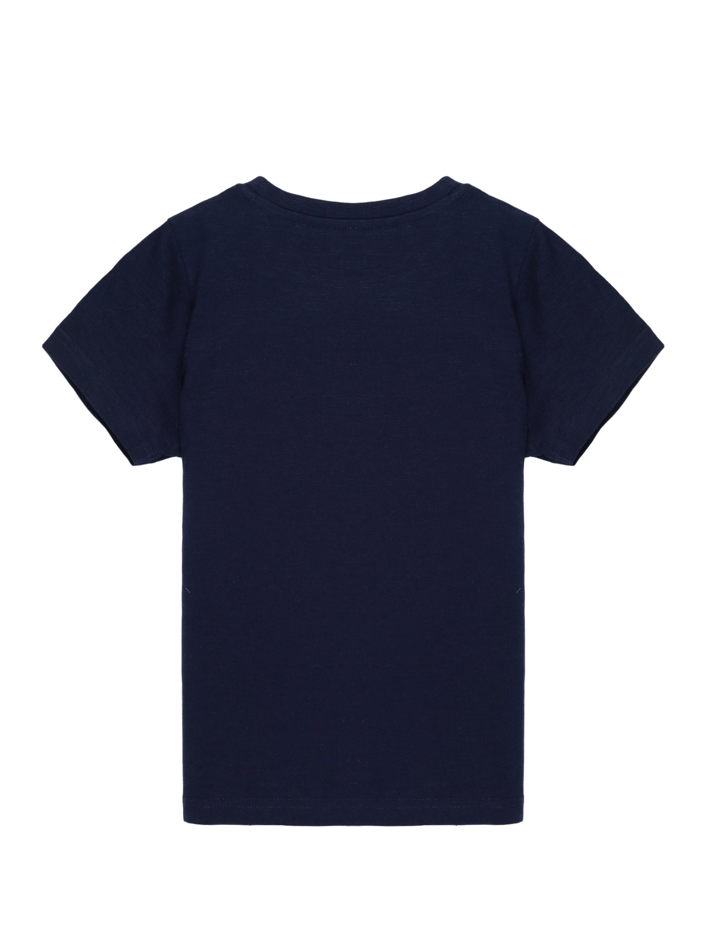Plum Tree Boys Half Sleeve Dino Print T-shirt & Shorts ( Sets)-NAVY GREEN