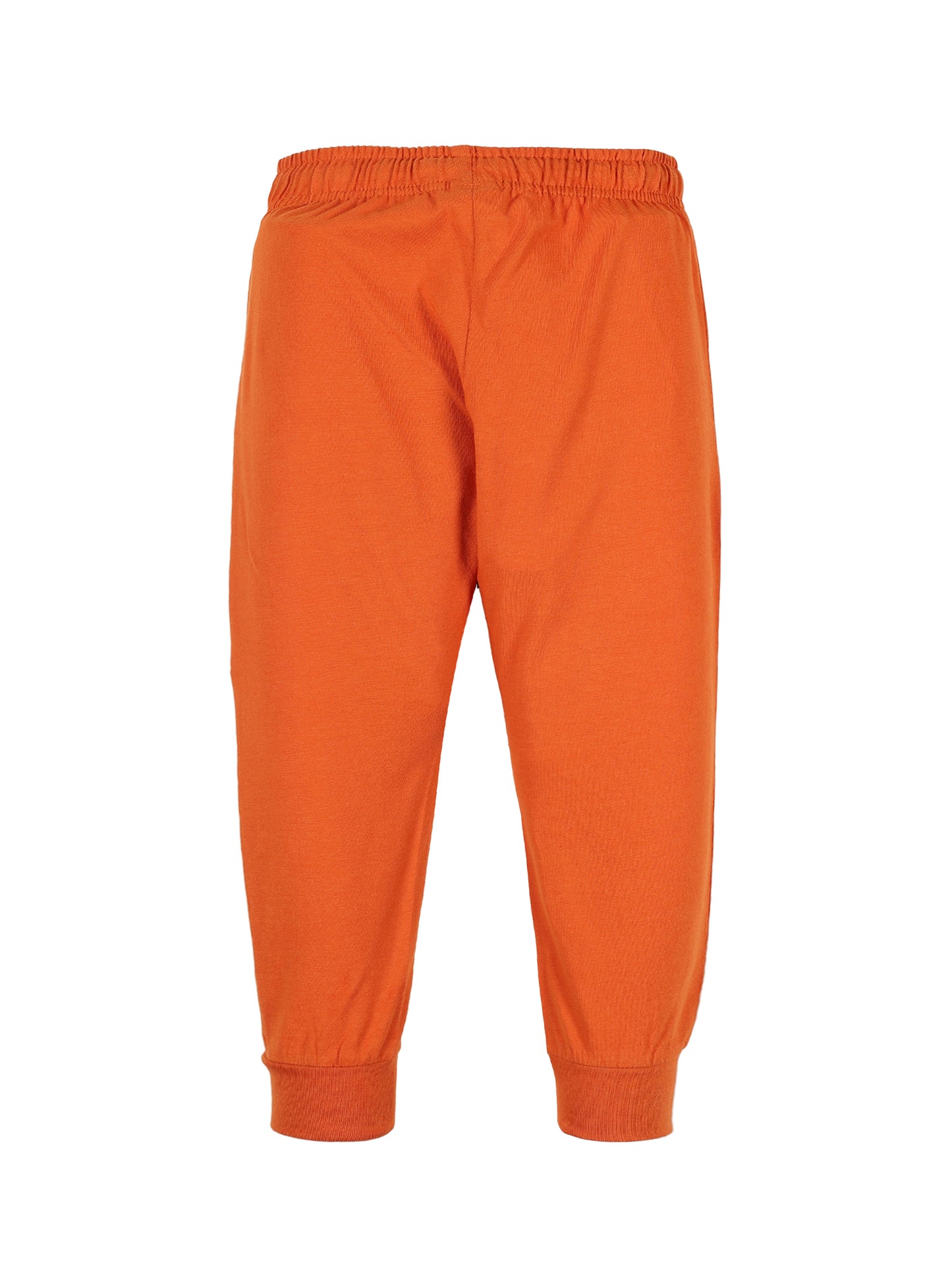 Plum Tree Boys Camoflague Print Joggers ( Pack of 2)-CAMO BURNT ORANGE