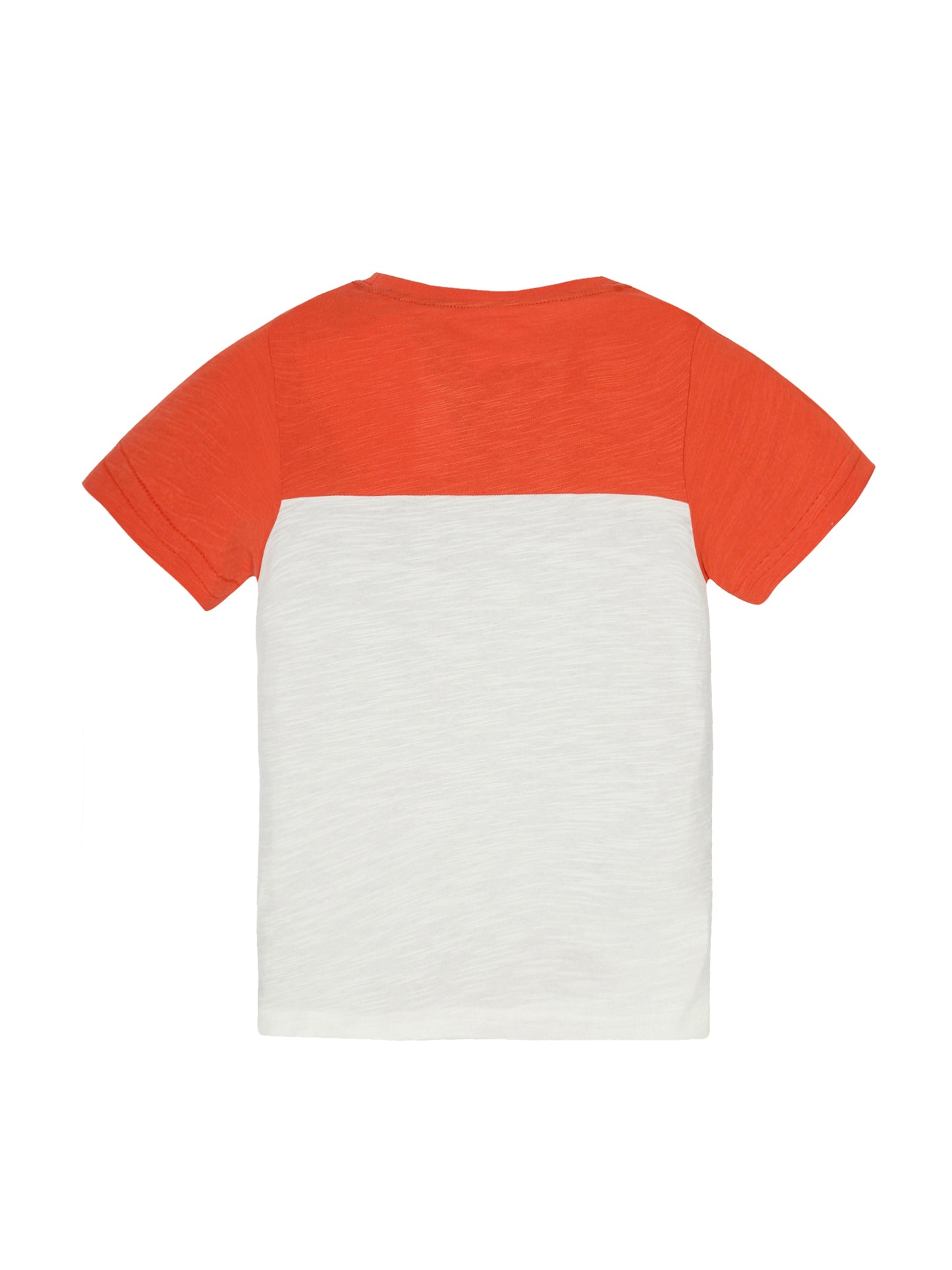 Plum Tree Boys Half Sleeve Tiger Print T-shirt( Pack of 2)-OFF WHITE BLACK