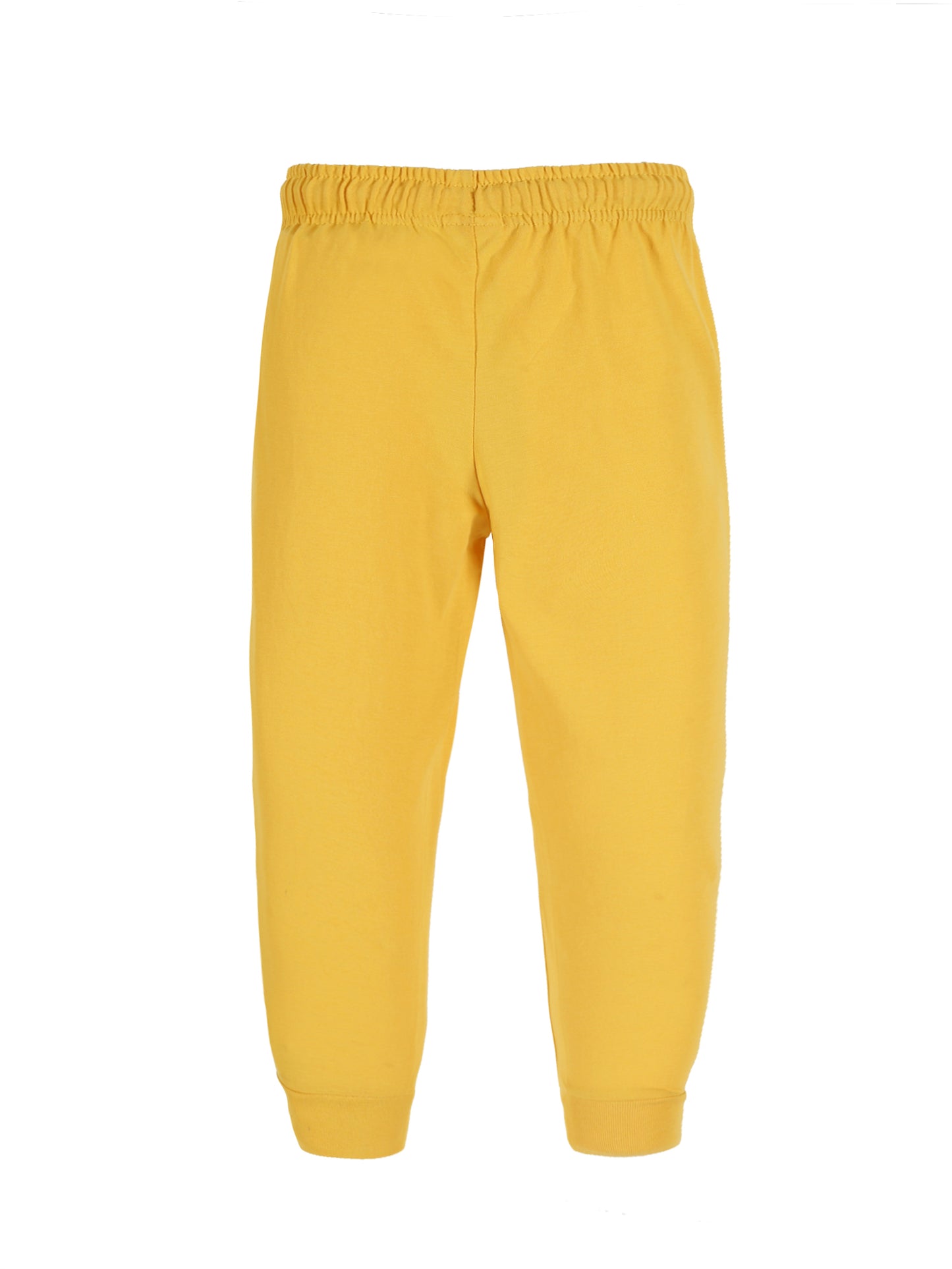 Plum Tree Boys Camoflague Print Joggers ( Pack of 2)-CAMO AOP YELLOW