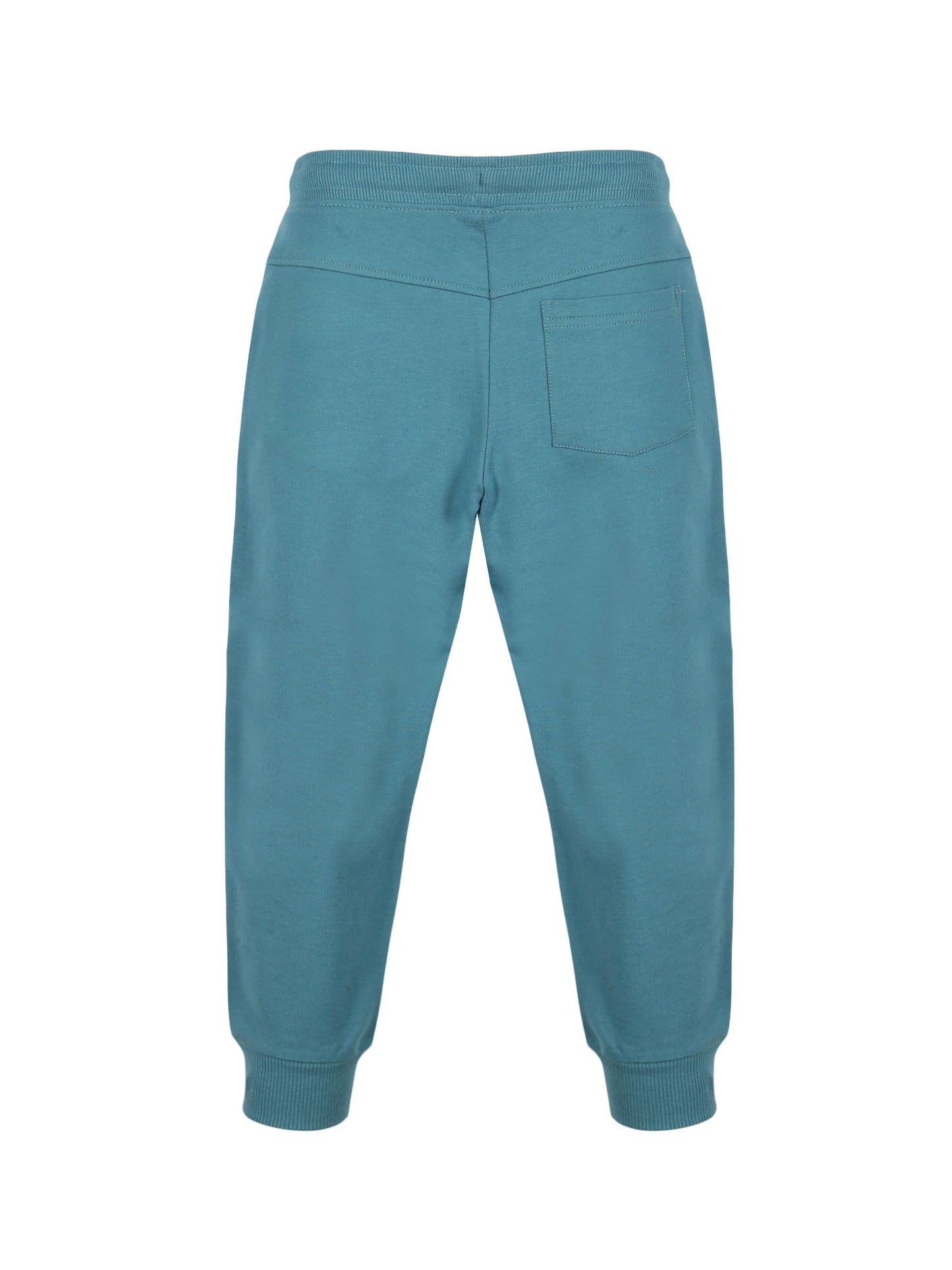 Plum Tree Boys New York Print Jogger Track Pant-AQUA