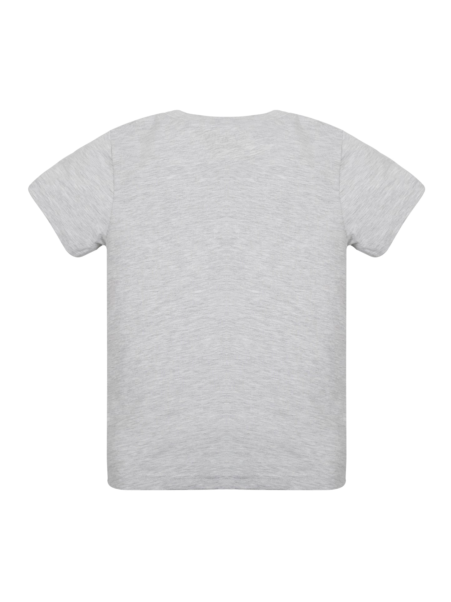 Plum Tree Boys Half Sleeve Champion Print T-shirt( Pack of 2)-GREY MELANGE NAVY