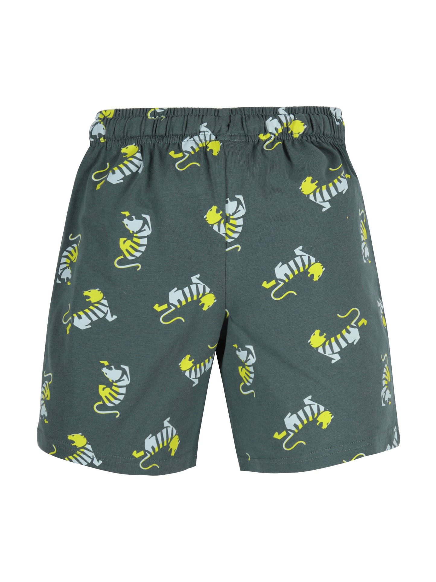 Plum Tree Boys Tiger Printed shorts( Pack of 2)-NAVY GREEN