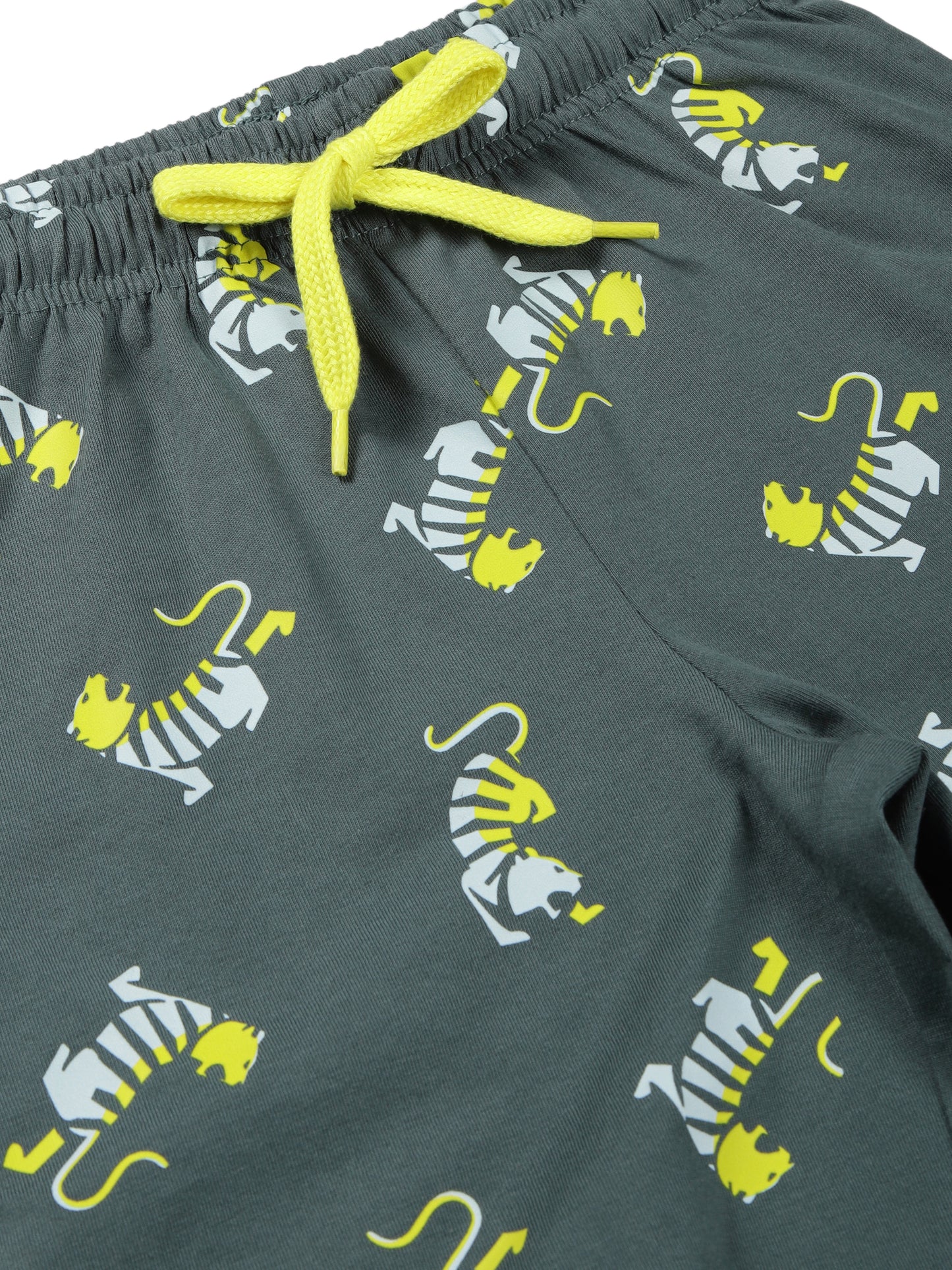 Plum Tree Boys Tiger Printed shorts( Pack of 2)-NAVY GREEN