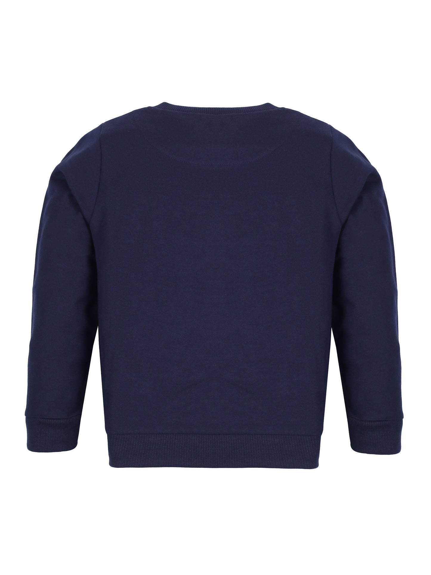 Boys Fun With Snow Print Round neck Pullover Sweatshirt- Navy