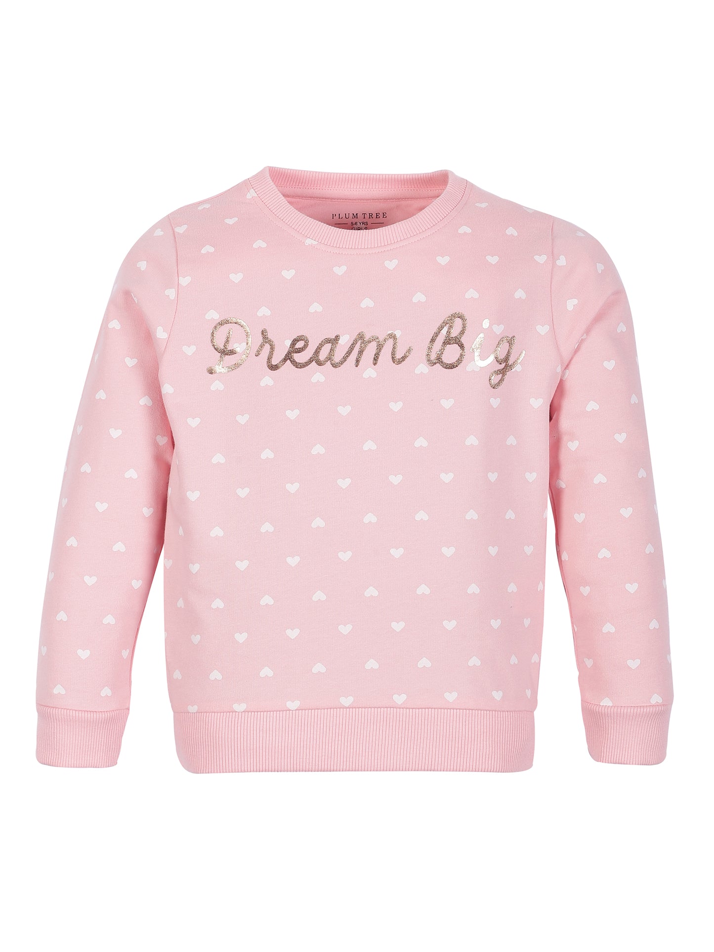 Girls Dream Big print Round neck Pullover Sweatshirt- Pink