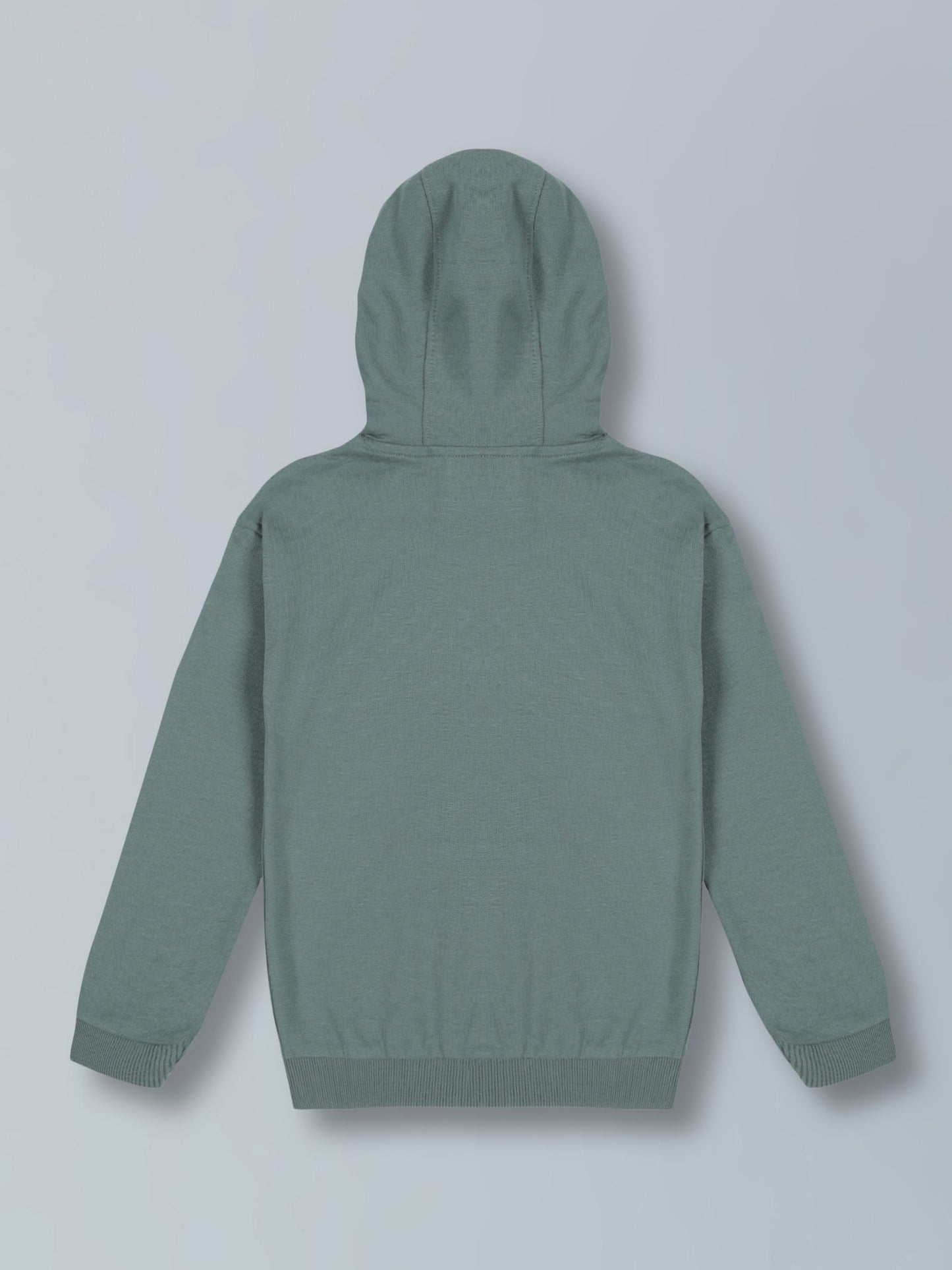 Limited Edition Sequence Print Hooded Cotton Sweatshirt- Summer green