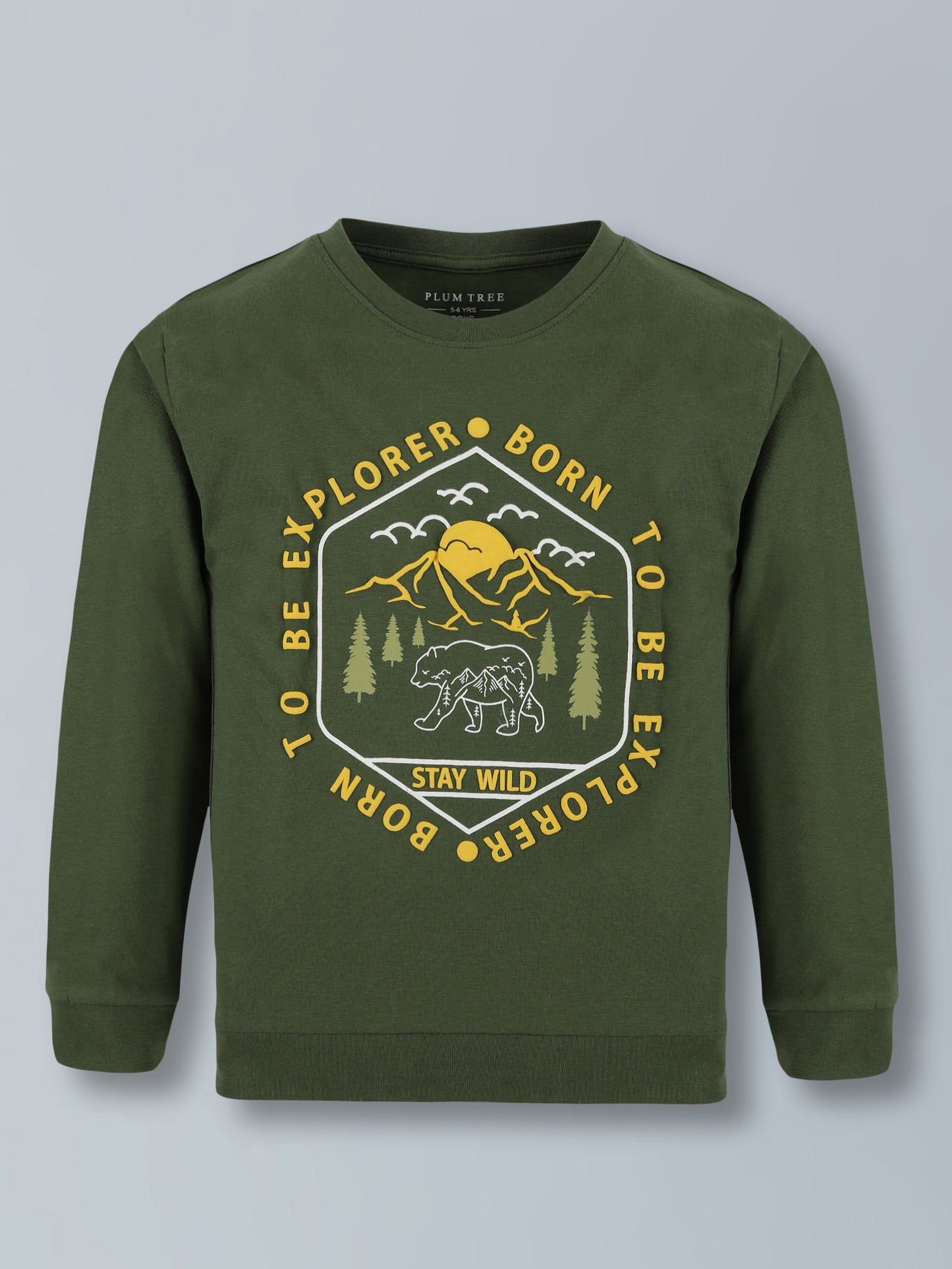 Plum Tree Boys 100% Cotton Full Sleeve Born To Explorer T-Shirt & Jogger Set ( Pack Of 2) - Mist Green