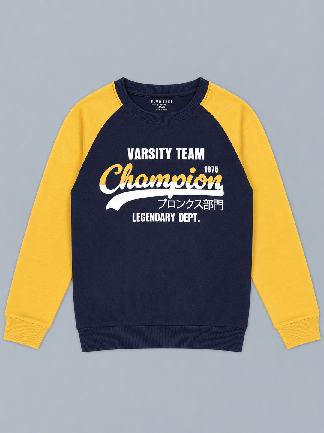 Boys Premium Soft Cotton Full Sleeve Printed Round Neck Sweatshirt