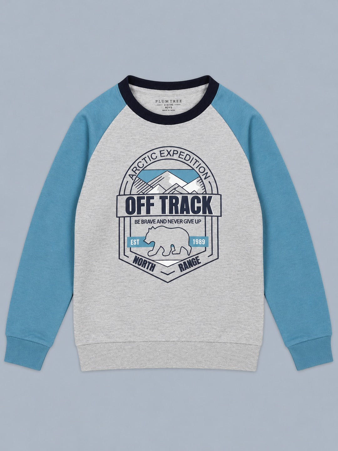 Boys Premium Soft Cotton Full Sleeve Printed Round Neck Sweatshirt