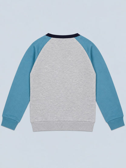Boys Premium Soft Cotton Full Sleeve Printed Round Neck Sweatshirt