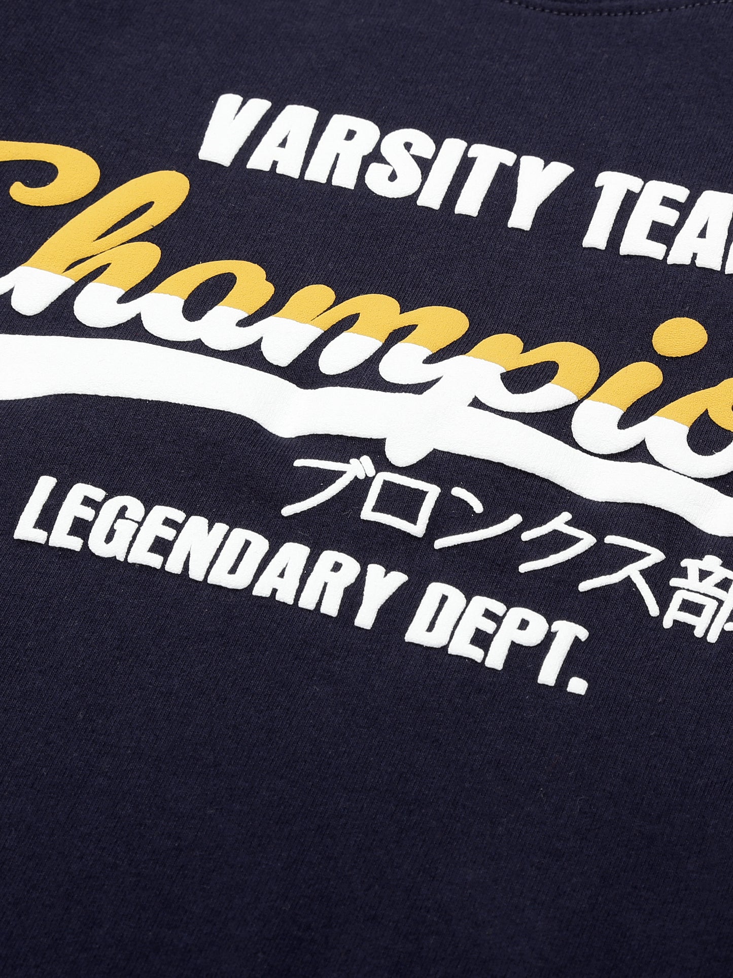 Raised Print Round Neck Pullover Sweatshirt and Printed Jogger set