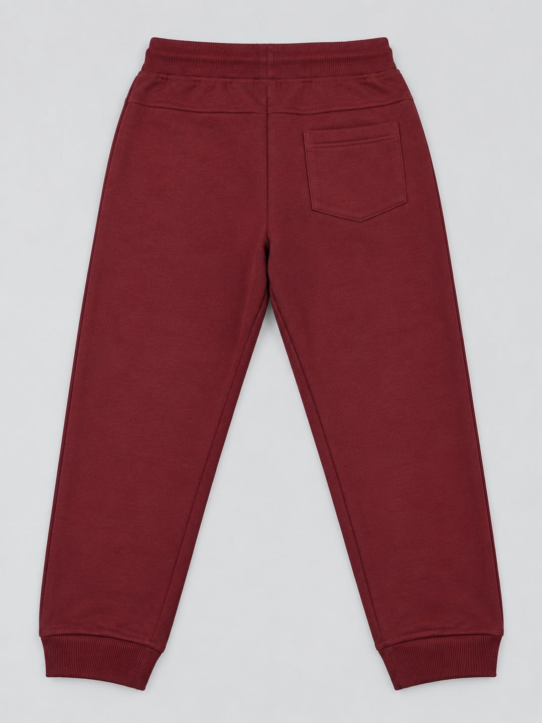 Boys Premium Soft cotton Regular Fit Printed Jogger