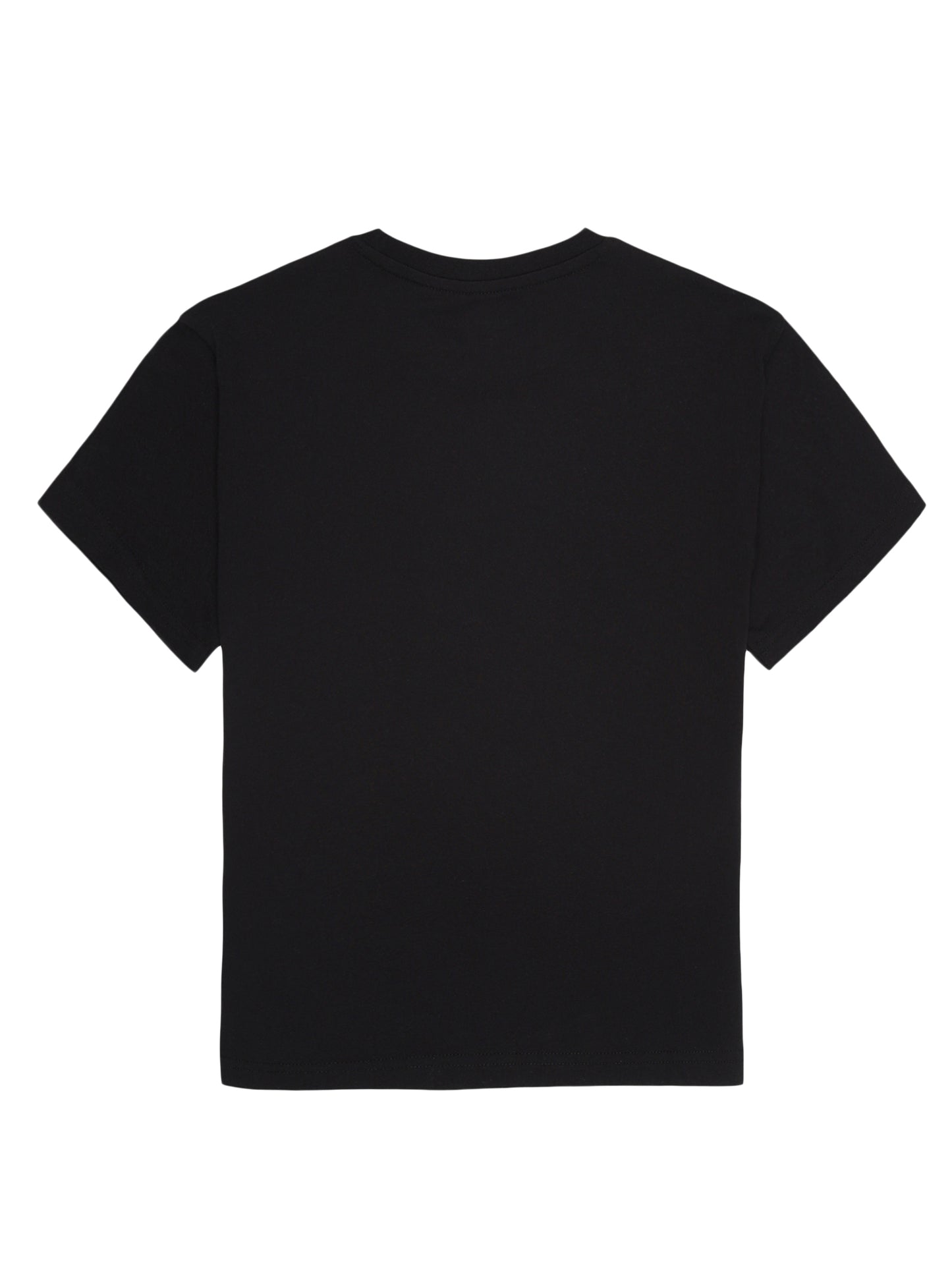 Boys set of 2 printed pure cotton T-shirts with Raised Print-GREEN BLACK