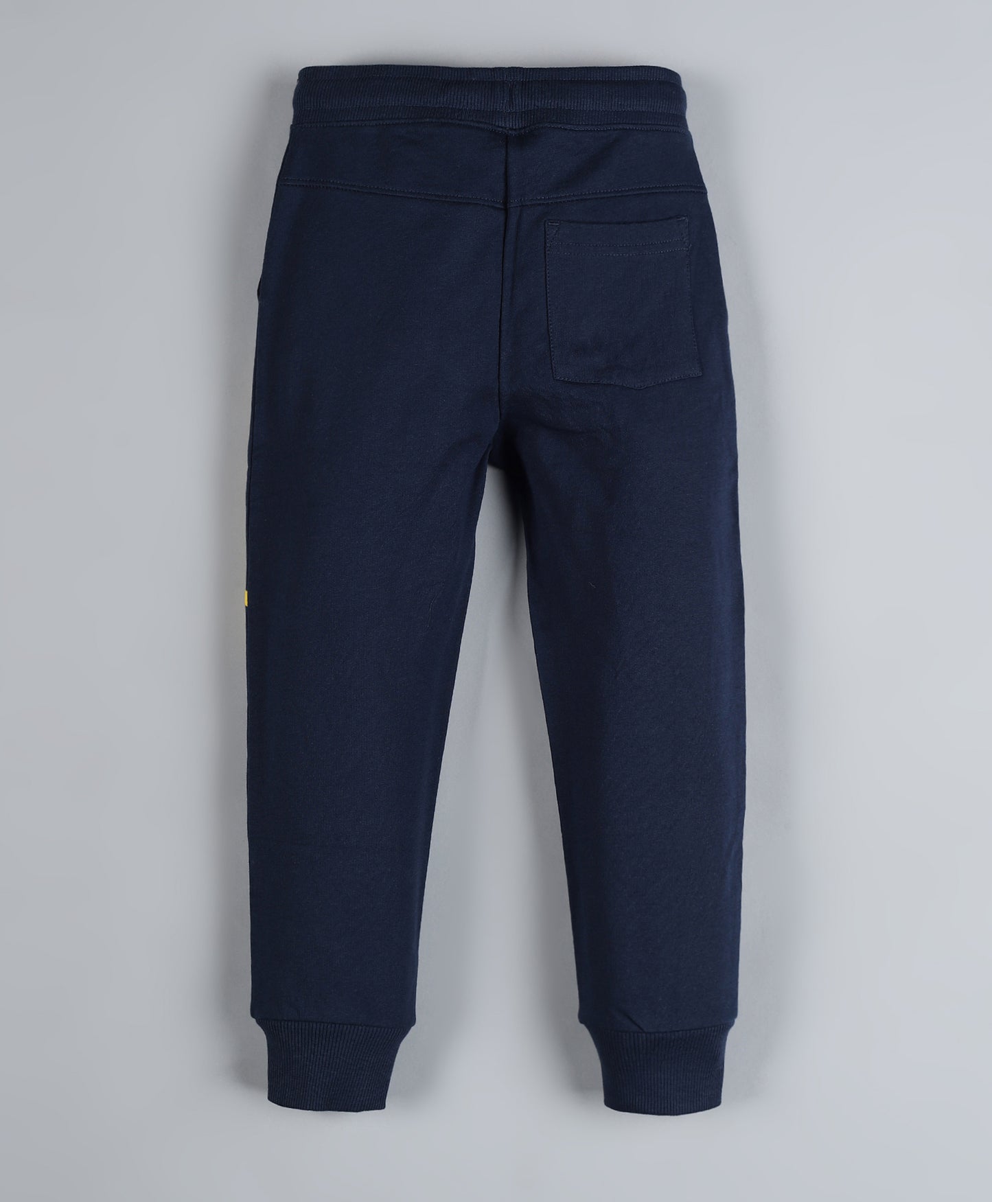 Raised Print Round Neck Pullover Sweatshirt and Printed Jogger set