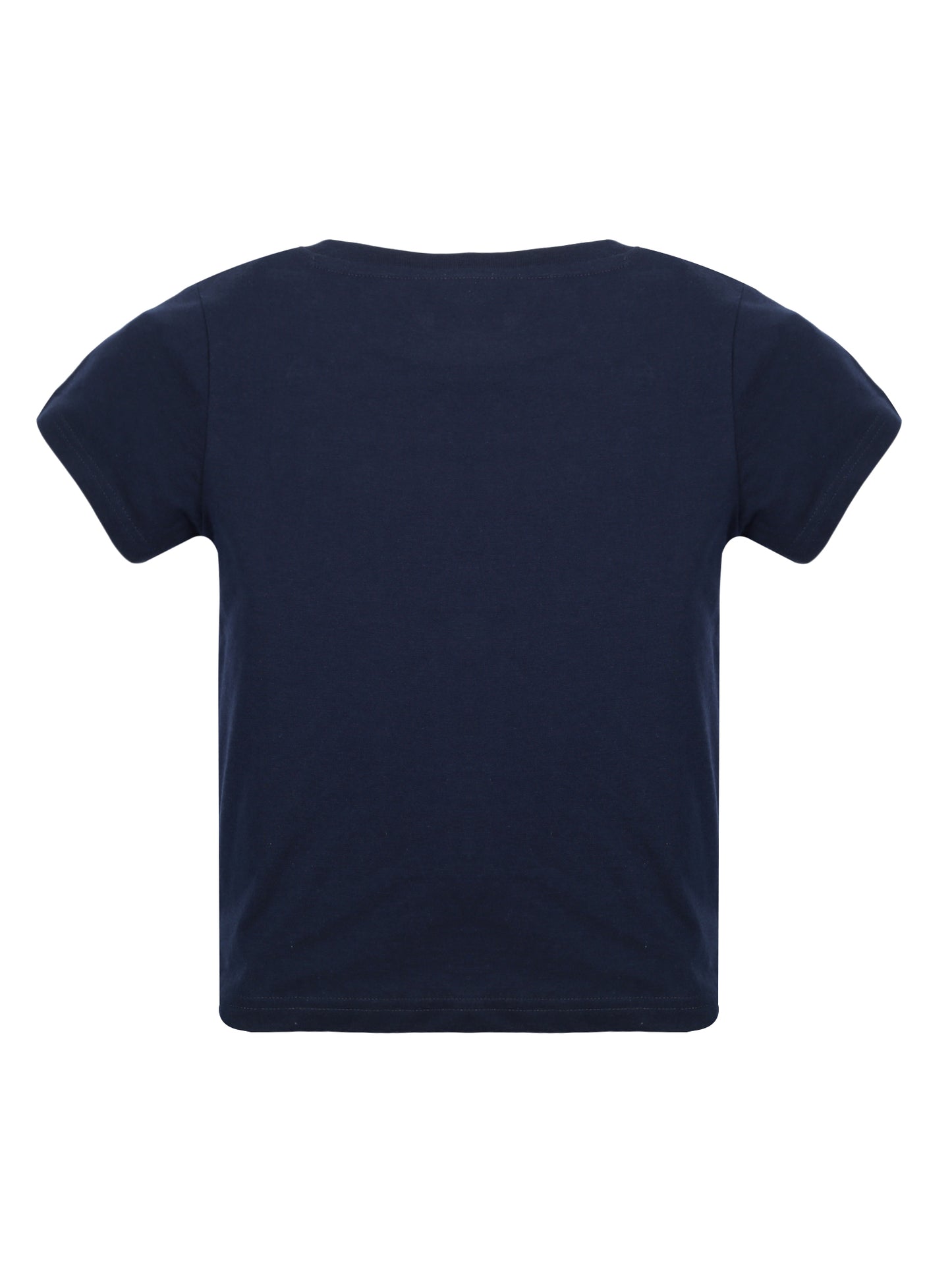 Plum Tree Boys Half Sleeve Star Print T-shirt( Pack of 2)-GREY MELANGE NAVY