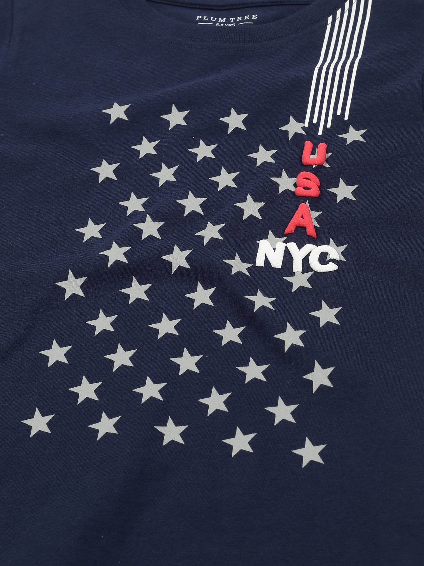 Plum Tree Boys Half Sleeve Star Print T-shirt( Pack of 2)-GREY MELANGE NAVY