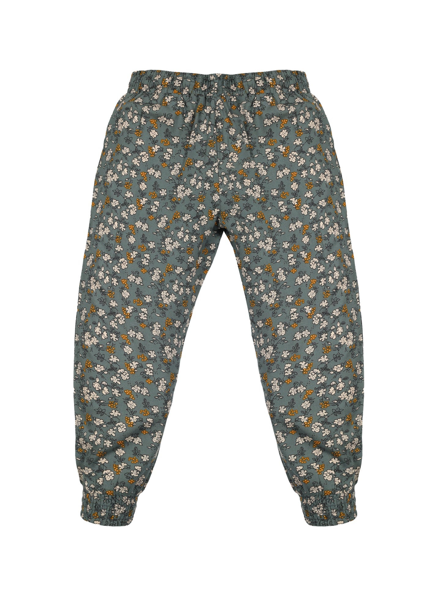 Plum Tree Girls Flower Print Rayon Pant  ( Pack of 2) - PEACH GREEN