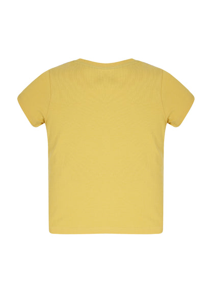 Plum Tree Boys Half Sleeve Gaming Print T-shirt( Pack of 2)-MUSTARD OLIVE