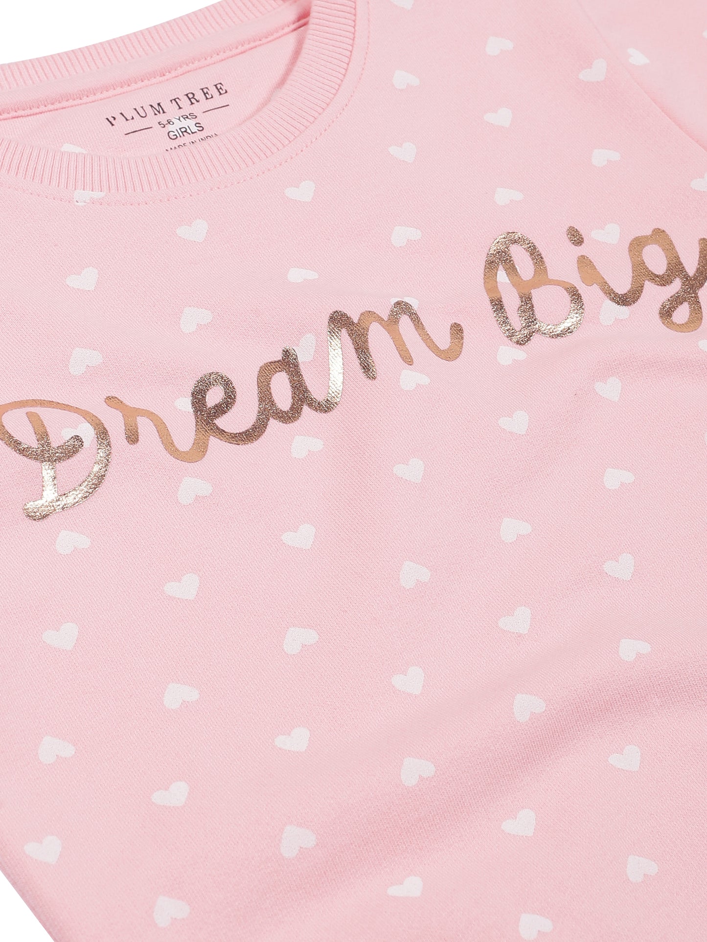 Girls Dream Big print Round neck Pullover Sweatshirt- Pink