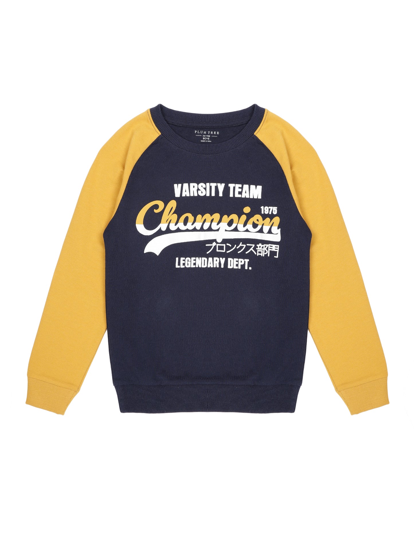 Boys Champion Print Round neck Pullover Sweatshirt- Navy