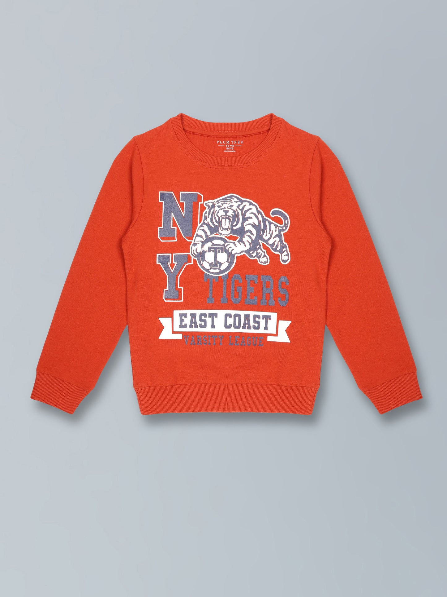 Boys Tiger Print Round neck Pullover Sweatshirt- Orange