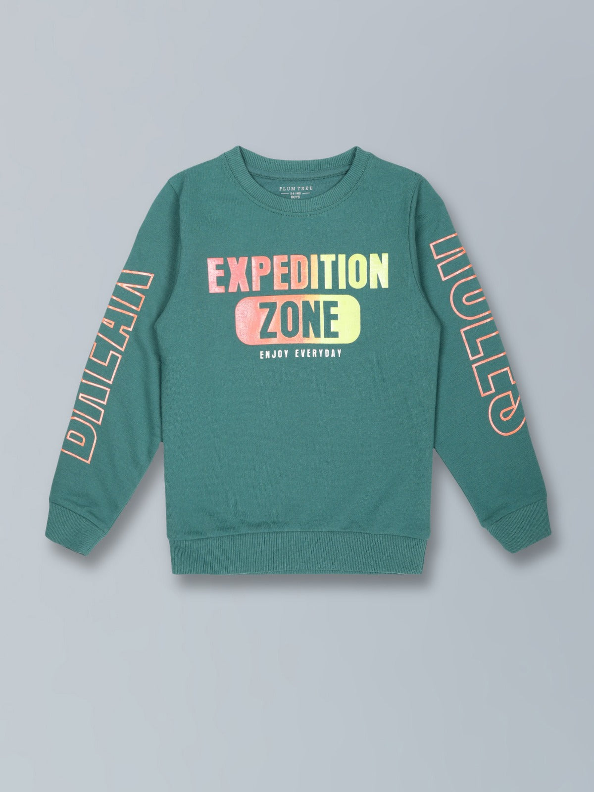 Boys Enjoy Everyday Print Round neck Pullover Sweatshirt- Green